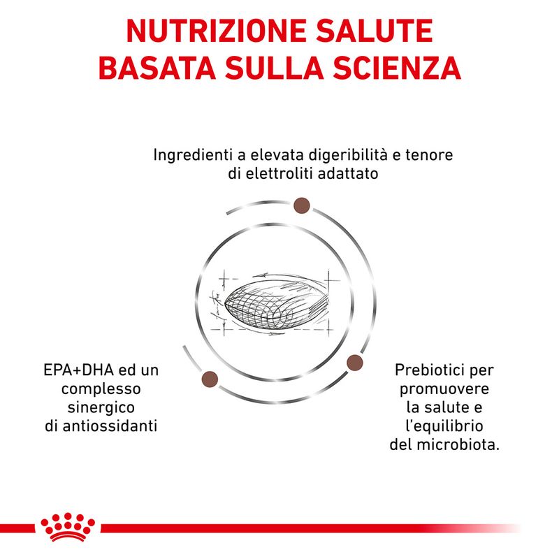 Royal Canin Gastrointestinal Hairball 2kg - Crocchette per Gatti Royal Canin Gastrointestinal Hairball 2kg - Crocchette per Gatti